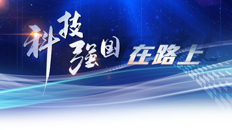 揭秘大数据分析算法：分类与原理探析