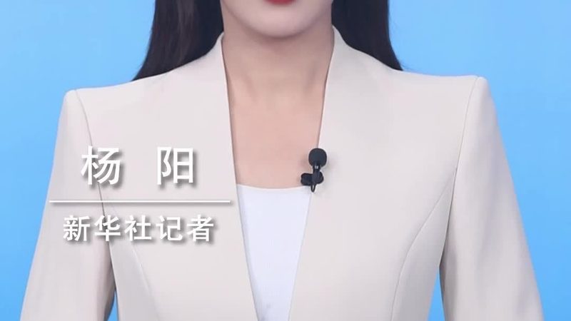 网络安全产品代理加盟：如何规避潜在风险